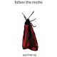 FOLLOW THE MOTHS-SPECIMEN EP (CD)