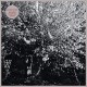 PAPERCUTS-PARALLEL UNIVERSE BLUES (LP)