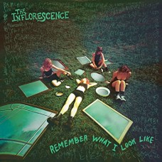 INFLORESCENCE-REMEMBER WHAT I LOOK LIKE (CD)