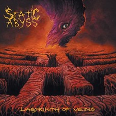 STATIC ABYSS-LABYRINTH OF VEINS (LP)
