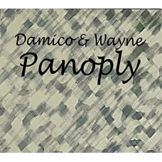 HAYDEN WAYNE/JASON DAMICO-PANOPLY DAMICO & WAYNE (2CD)