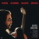JOEL JEROME-SUPER FLOWER BLOOD MOON (CD)