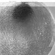 URSULA BOGNER-SONNE = BLACKBOX (LP)