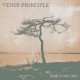 VENUS PRINCIPLE-STAND IN YOUR LIGHT (2CD)