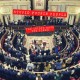 STUPID FUCKIN PEOPLE-IDIOTS HAVE THE POWER (LP)