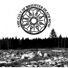 BRIGHTER DEATH NOW-ALL TOO BAD - BAD TO ALL (LP)