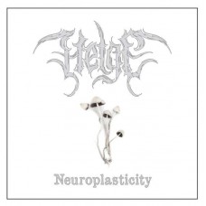 HELGE-NEUROPLASTICITY (CD)