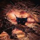 SVEN VATH-CATHARSIS (CD)