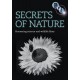 DOCUMENTÁRIO-SECRETS OF NATURE (DVD)