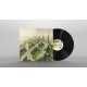 CASUALLY HERE-POSSIBLE WORLDS (LP)