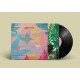 RAW POETIC AND DAMU THE F-LAMINATED SKIES (LP)