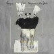 BARZIN-VOYEURS IN THE DARK (CD)