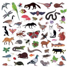 MODERN NATURE-ISLAND OF NOISE (CD)