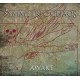SYMMETRIC CHAOS-AWAKE (CD)
