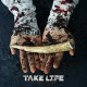 TAKE LIFE-YOU ARE NOWHERE (LP)