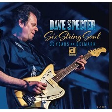 DAVE SPECTER-SIX STRING SOUL. 30 YEARS ON DELMARK (2LP)