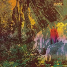 WAKE-THOUGHT FORM DESCENT (LP)