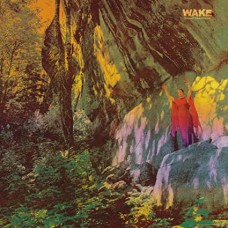 WAKE-THOUGHT FORM DESCENT (CD)