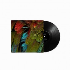 NYOS-CELEBRATION (LP)