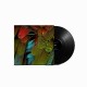 NYOS-CELEBRATION (LP)