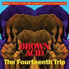 V/A-BROWN ACID: THE 14TH TRIP (LP)