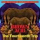 V/A-BROWN ACID: THE 14TH TRIP (CD)