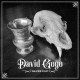 DAVID GOGO-SILVER CUP (LP)