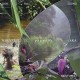 MBENZELE PYGMIES-DAYS FULL OF SOUND / LIFE IN THE RAINFOREST (2CD)