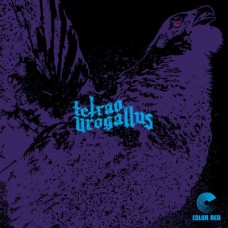 TETRAO UROGALLUS-TETRAO UROGALLUS (CD)