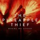 PINEAPPLE THIEF-WHERE WE STOOD -REISSUE- (CD+DVD)