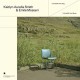KAITLYN AURELIA SMITH & EMILE MOSSERI-I COULD BE YOUR DOG / I COULD BE YOUR MOON -COLOURED- (LP)