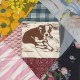 MAPACHE-ROSCOE'S DREAM (CD)