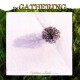 GATHERING-NIGHTTIME BIRDS (CD)
