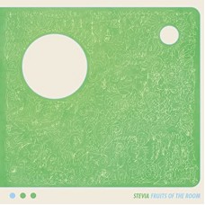 SUSUMU YOKOTA-FRUITS OF THE ROOM (2LP)