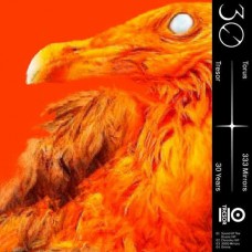 TORUS-333 MIRRORS (12")