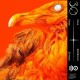 TORUS-333 MIRRORS (12")