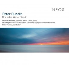 NDR ELBPHILHARMONIE/DSO B-RUZICKA: ORCHESTERWERKE 4 (CD)