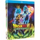 ANIMAÇÃO-DRAGON BALL SUPER: BROLY (BLU-RAY)