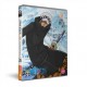 ANIMAÇÃO-ONE PIECE: COLLECTION 26 (4DVD)