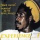 PRINCE LINLEY & THE ROYAL-EXPERIENCE -COLOURED- (LP)