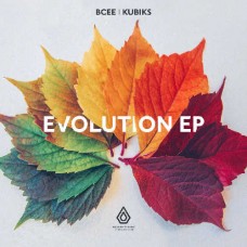 BCEE & KUBIKS-EVOLUTION EP (10")