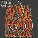 ALISON COTTON-PORTRAIT YOU PAINTED OF ME (LP)