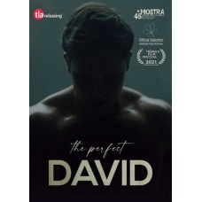 FILME-PERFECT DAVID (DVD)