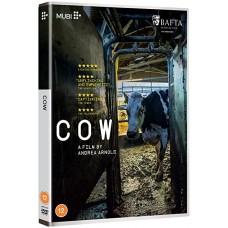 DOCUMENTÁRIO-COW (DVD)