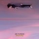 JACK FLANAGAN-RIDES THE SKY (CD)