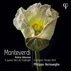 COLLEGIUM VOCALE GENT / P-MONTEVERDI: IL QUARTO LIBRO DE MADRIGALI (CD)