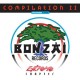 V/A-BONZAI COMPILATION II - EXTREME CHAPTER (2LP)