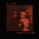 SELOFAN-PARTNERS IN HELL (LP)