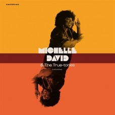 MICHELLE DAVID & THE TRUE-TONES-TRUTH & SOUL (CD)