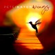 PETER KATER-WINGS (CD)
